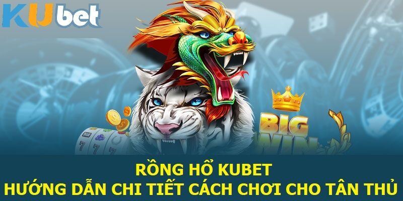 rồng hổ kubet