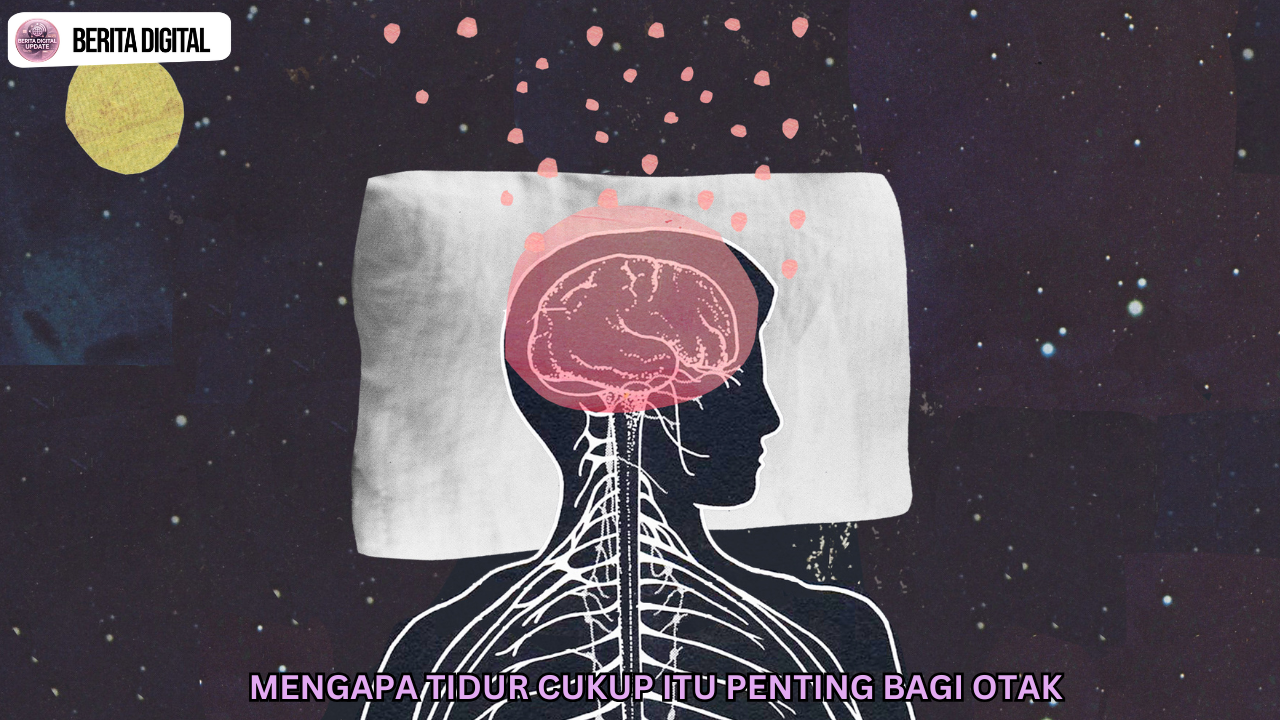 Mengapa Tidur Cukup Itu Penting Bagi Otak