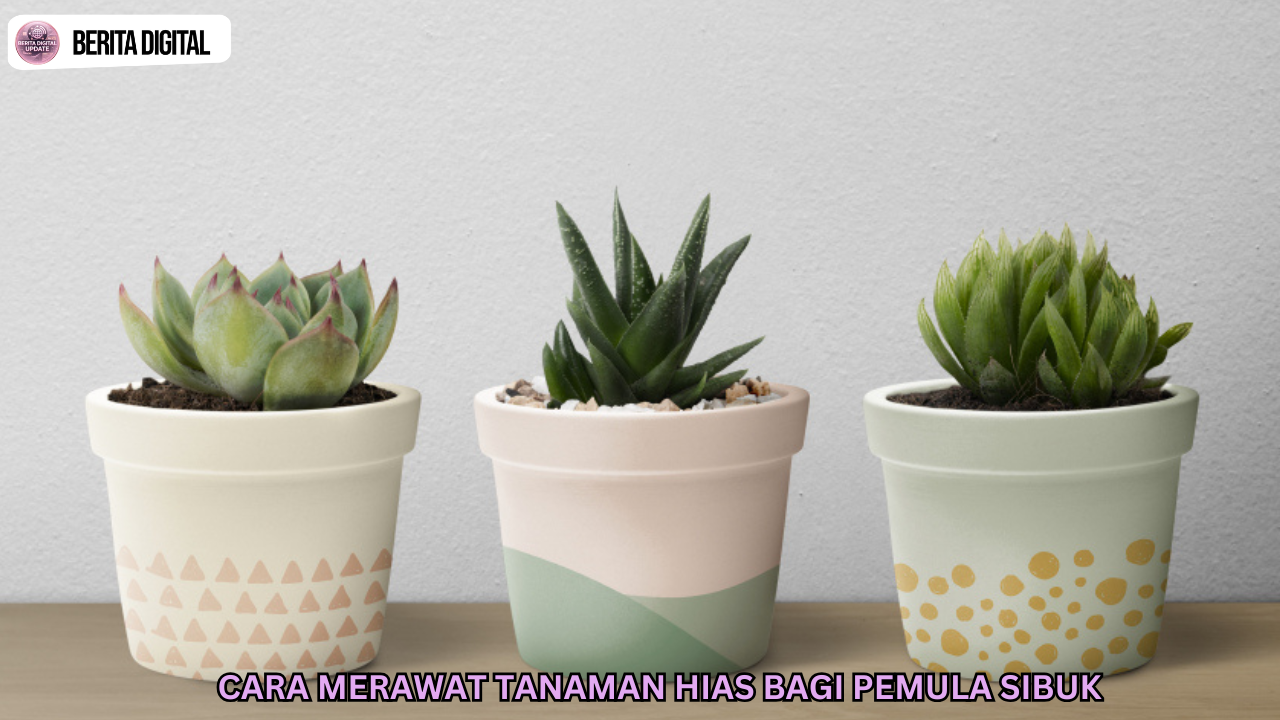 Cara Merawat Tanaman Hias Bagi Pemula Sibuk